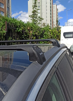 Citroen C4 Grand Picasso Mpv 2013-2018 Portbagaj Taşıyıcı Ara Atkisi - Ara Çubuk Paw Pro 2 Siyah