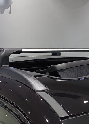 Jeep Compass 2017-2025 Portbagaj Taşıyıcı Ara Atkisi - Ara Çubuk Paw Pro 2 Gri