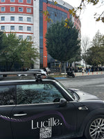 Mini Cooper R56 3dr (2007-2014) Tavan Portbagaj Taşıyıcı Ara Atkısı, Pro 4, Gri