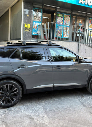 Peugeot 2008 2020-2025 Portbagaj Taşıyıcı Ara Atkisi - Ara Çubuk Paw Pro 2 Gri