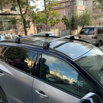 Mg Zs Hybrid+ 2022-2025 Portbagaj Taşıyıcı Ara Atkisi - Ara Çubuk Paw Pro 2 Siyah