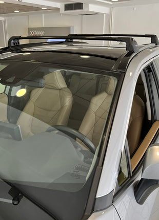 Toyota Rav 4 2018-2025 Portbagaj Taşıyıcı Ara Atkisi - Ara Çubuk Paw Pro 2 Siyah